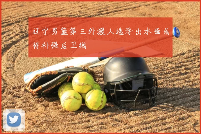 辽宁男篮第三外援人选浮出水面或将补强后卫线