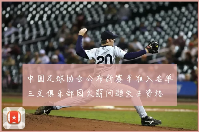 中国足球协会公布新赛季准入名单三支俱乐部因欠薪问题失去资格