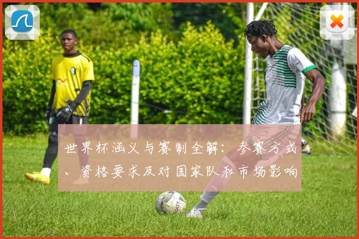世界杯涵义与赛制全解：参赛方式、资格要求及对国家队和市场影响