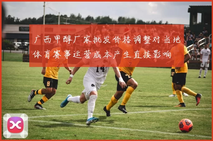 广西甲醇厂家批发价格调整对当地体育赛事运营成本产生直接影响