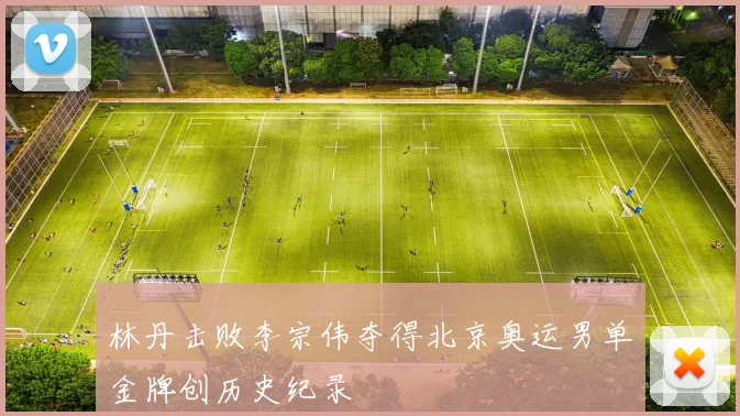 林丹击败李宗伟夺得北京奥运男单金牌创历史纪录